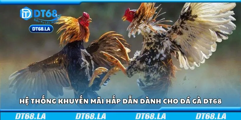 Hệ thống khuyến mãi hấp dẫn dành cho đá gà DT68
